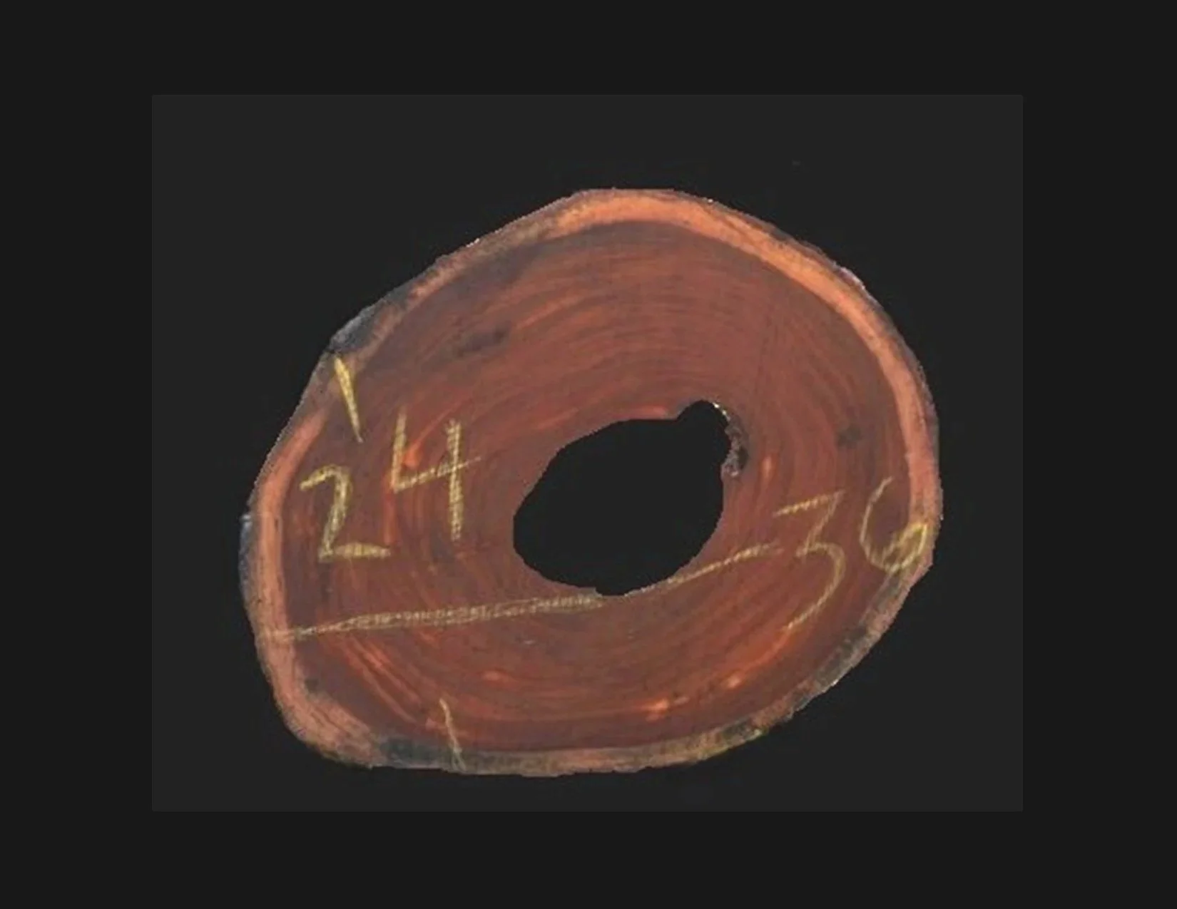 Guayaquil Round Crosscut - H1512GYQ - 36” L x 24” W x 2” T - 12 BF