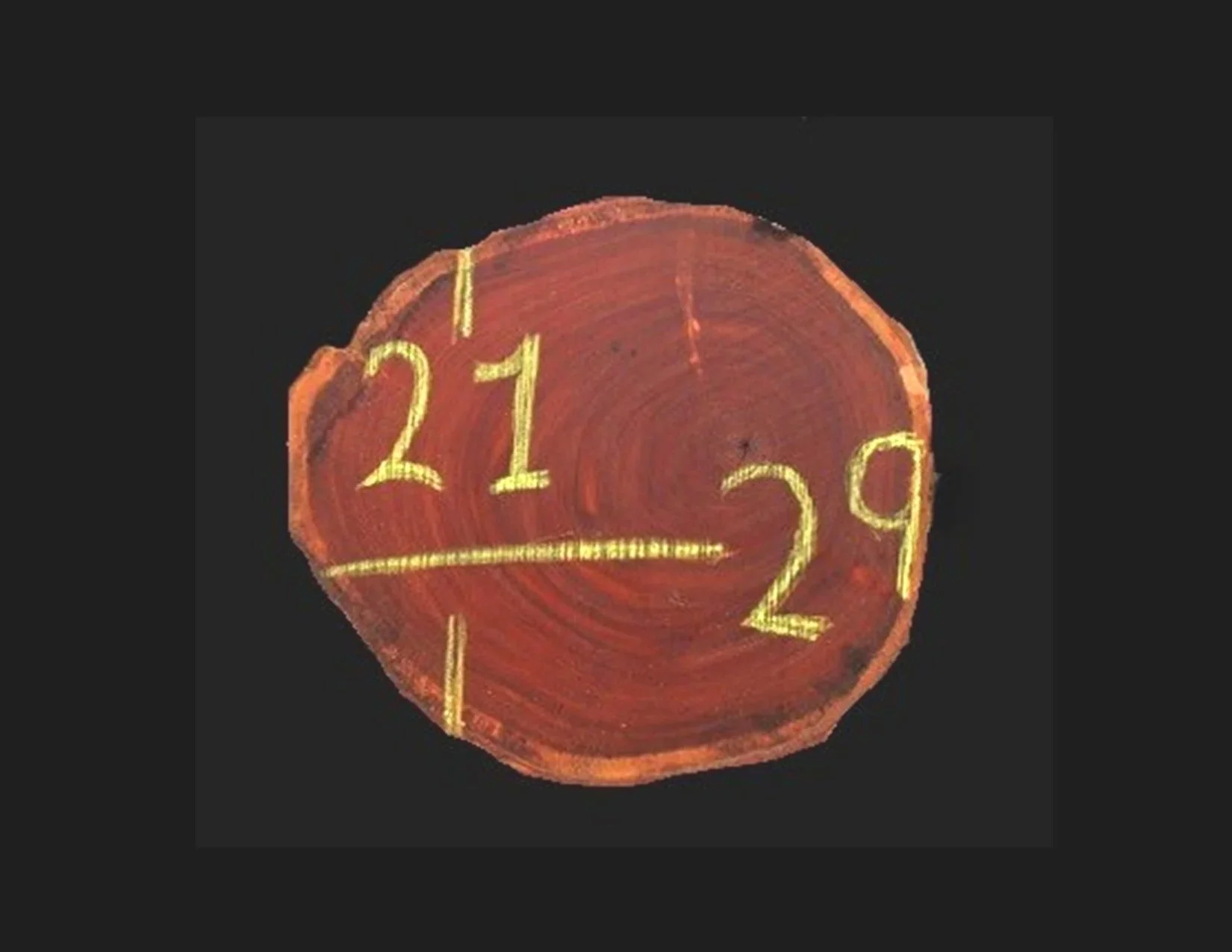 Guayaquil Round Crosscut - H1548GYQ - 29” L x 21” W x 2” T - 8 BF