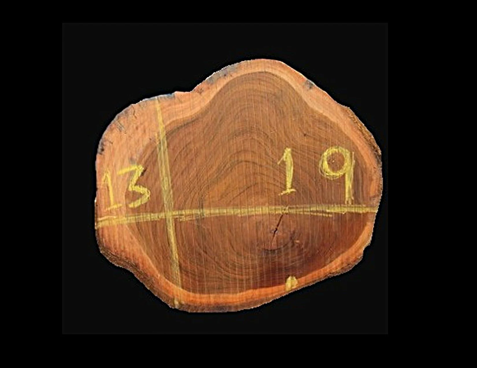 Teak Round Crosscut - H1272TEA - 19” L x 13” W x 2” T - 3 BF