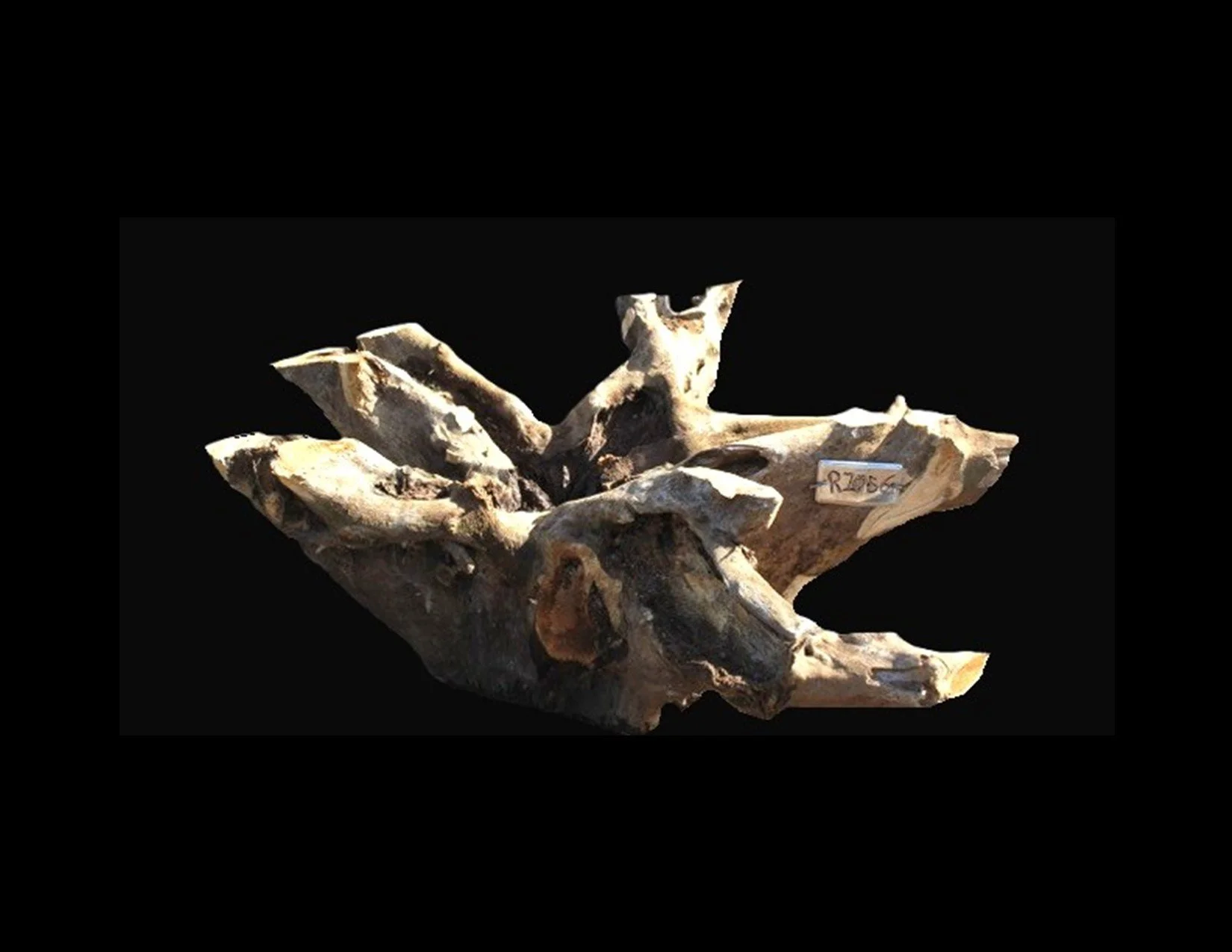 Teak Roots -R1056TEA - 42” L x 38” W x 16” T - 177 BF