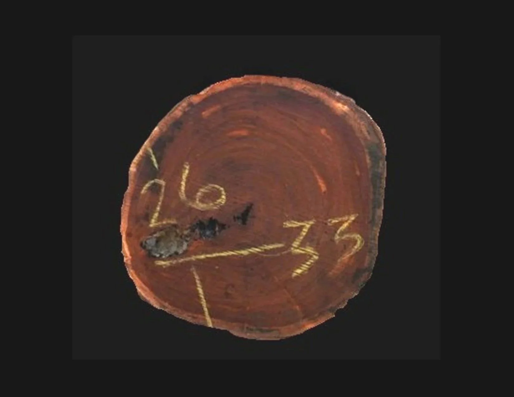 Guayaquil Round Crosscut - H1513GYQ - 33” L x 26” W x 2” T - 12 BF