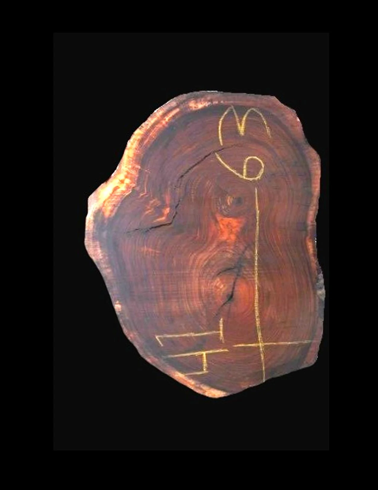 Parota Live Edge Slab - G1006GNC - 63” L x 41” W x 3” T - 54 BF