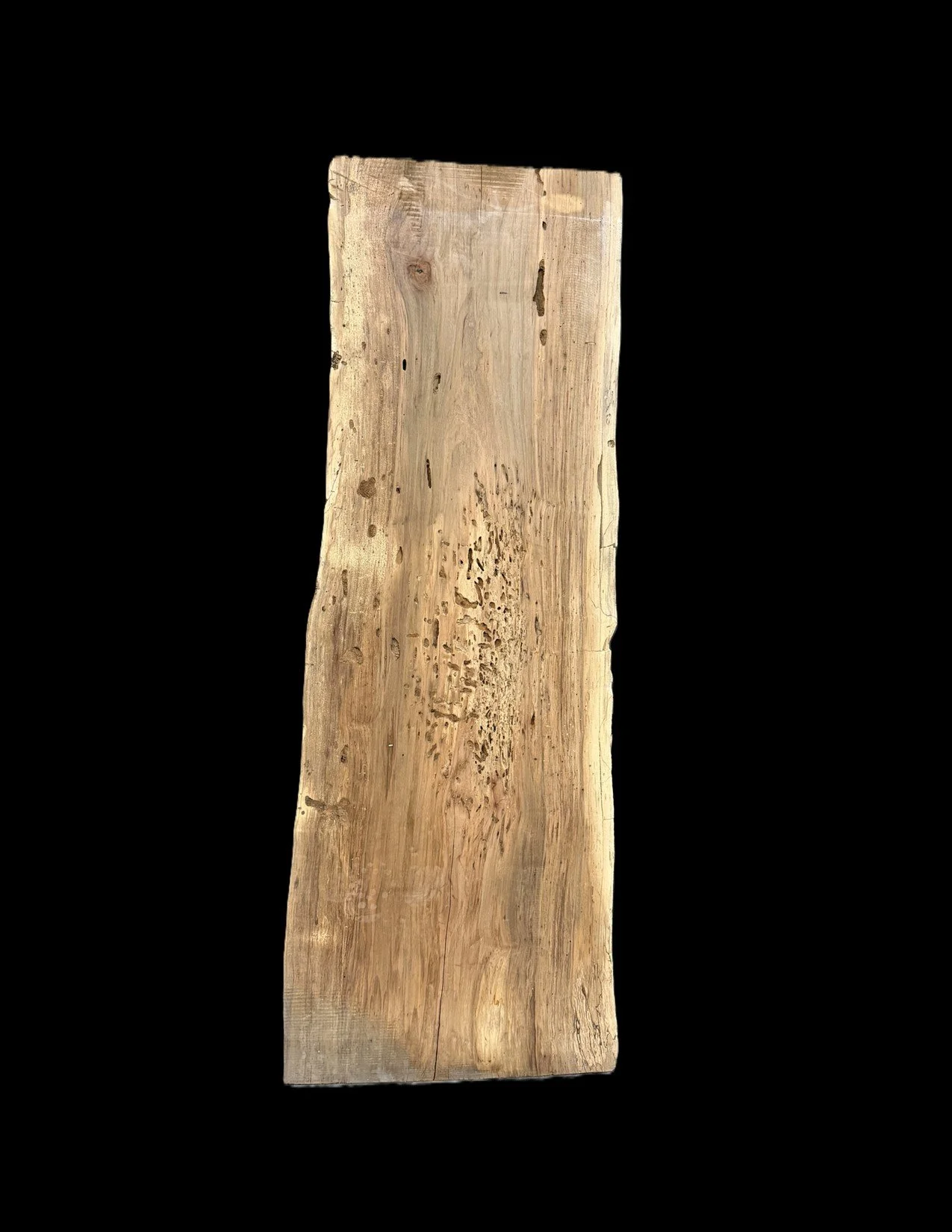 Japenese Maple Live Edge Slab