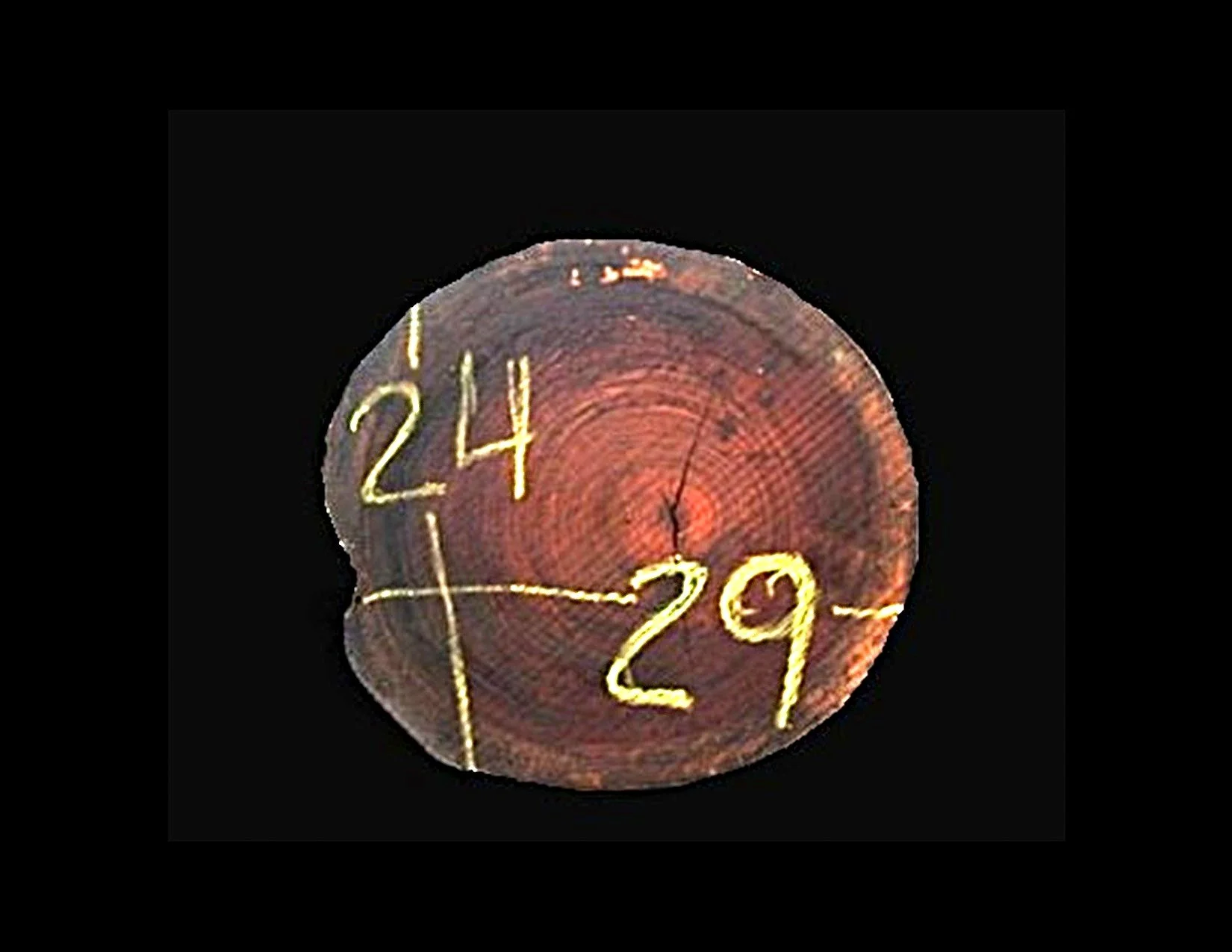 Parota Round Crosscut - H1473GNC - 29” L x 22” W x 2” T - 9 BF