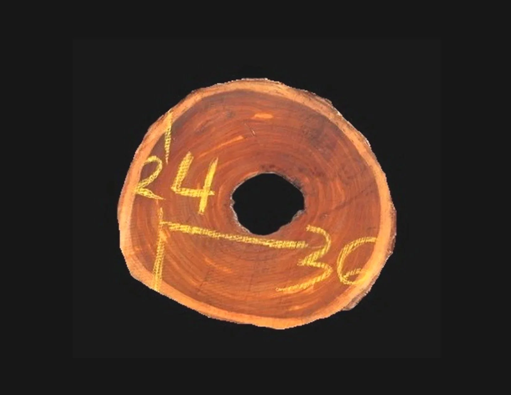 Guayaquil Round Crosscut - H1522GYQ - 36” L x 24” W x 2” T - 12 BF