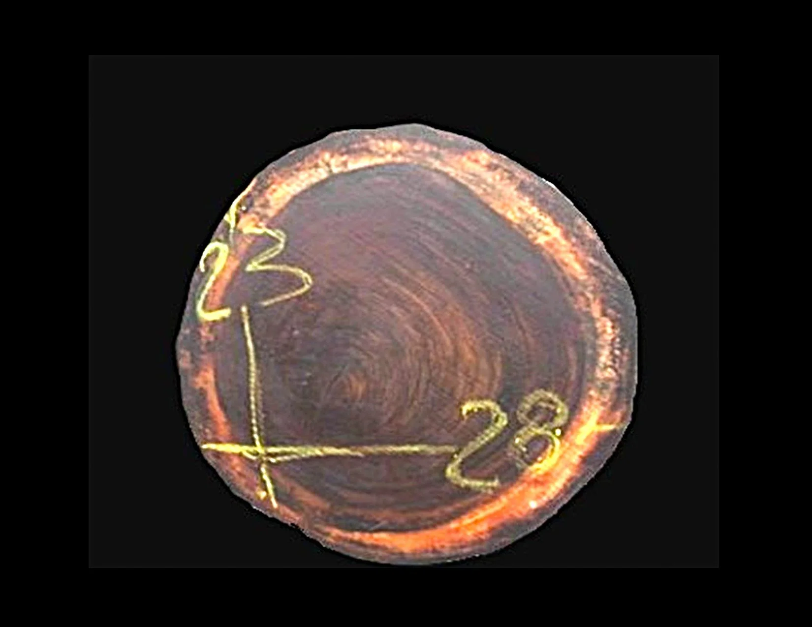 Parota Round Crosscut - H1461GNC - 29” L x 22” W x 2” T - 9 BF