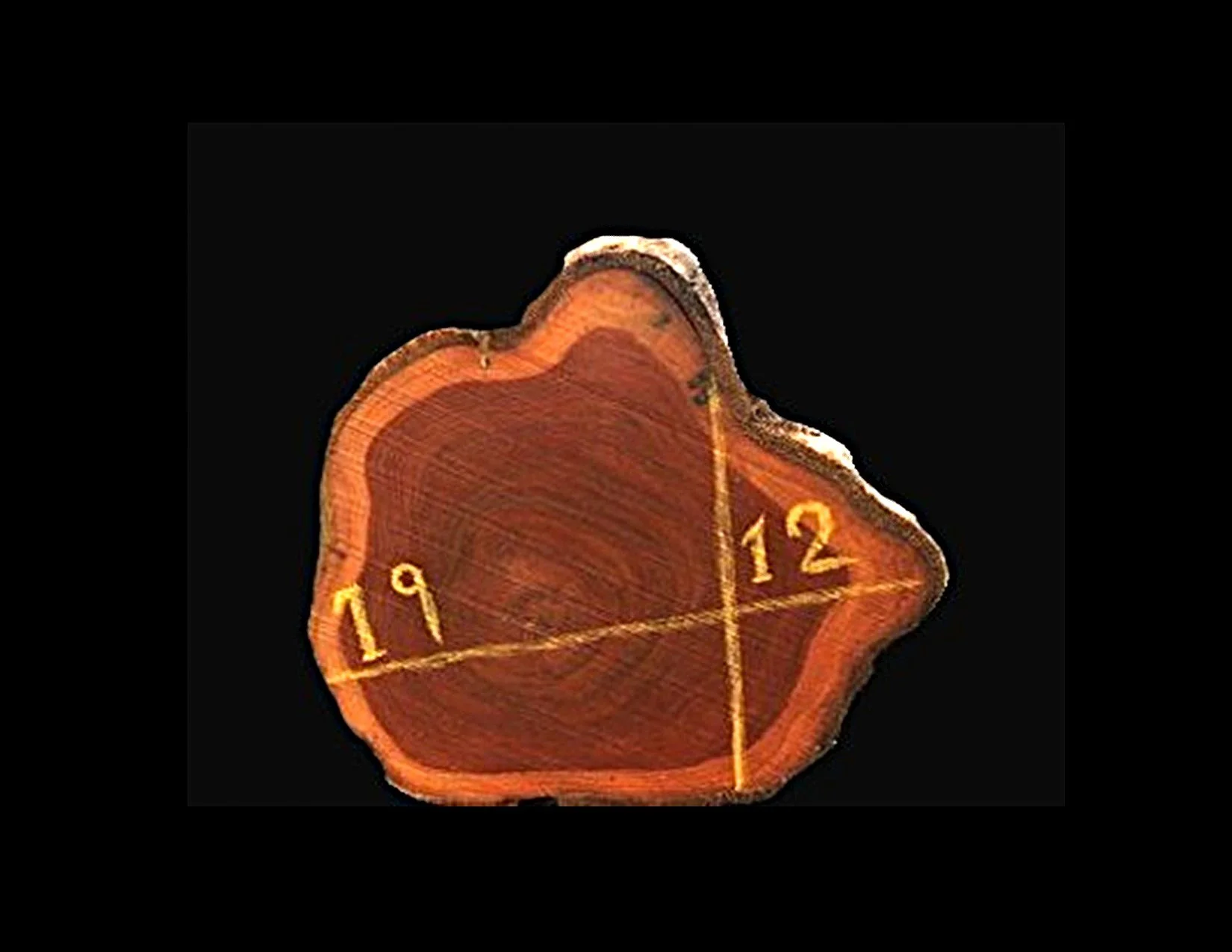 Teak Round Crosscut - H1080TEA - 19” L x 12” W x 2” T - 3 BF