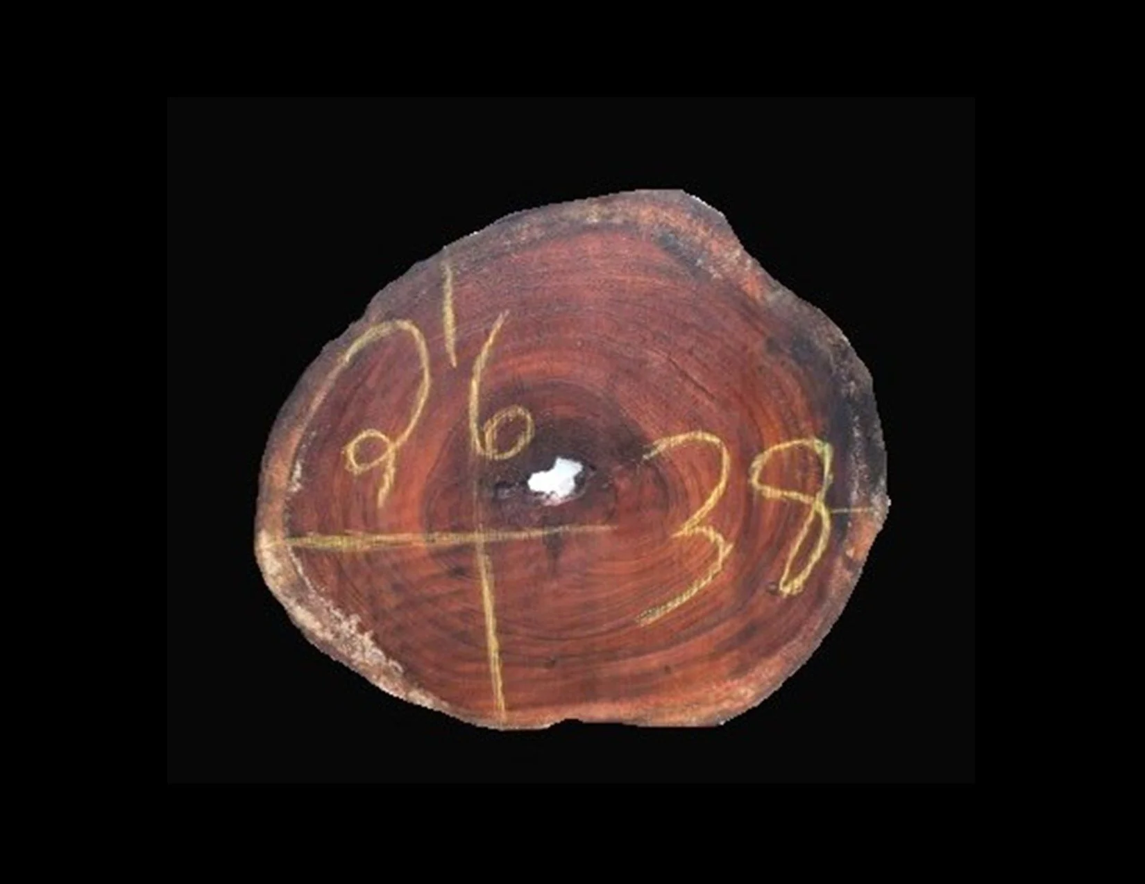Parota Round Crosscut - H1509GNC - 38” L x 26” W x 2” T - 14 BF