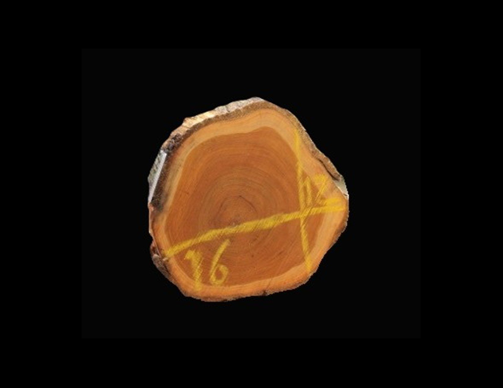 Teak Round Crosscut - H1043TEA - 16” L x 13” W x 2” T - 3 BF