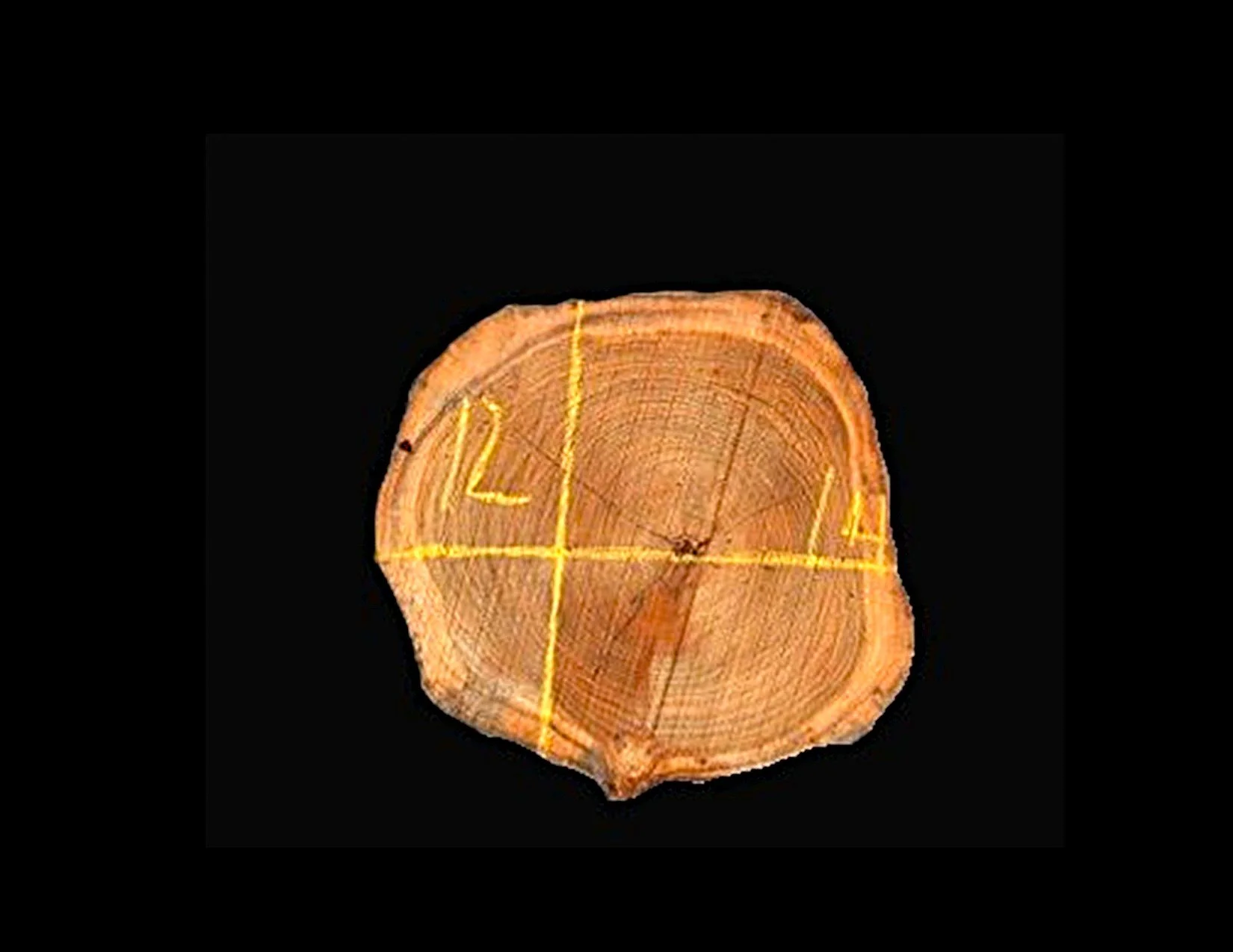 Teak Round Crosscut - H1133TEA - 14” L x 12” W x 2” T - 2 BF