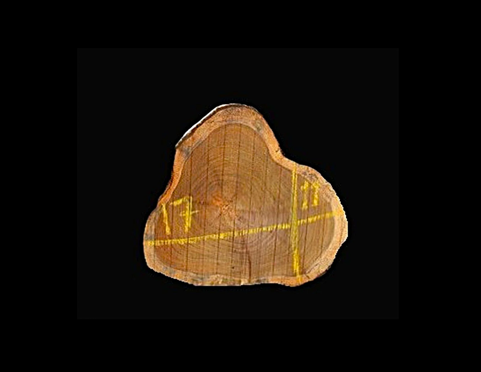 Teak Round Crosscut - H1061TEA - 17” L x 11” W x 2” T - 3 BF