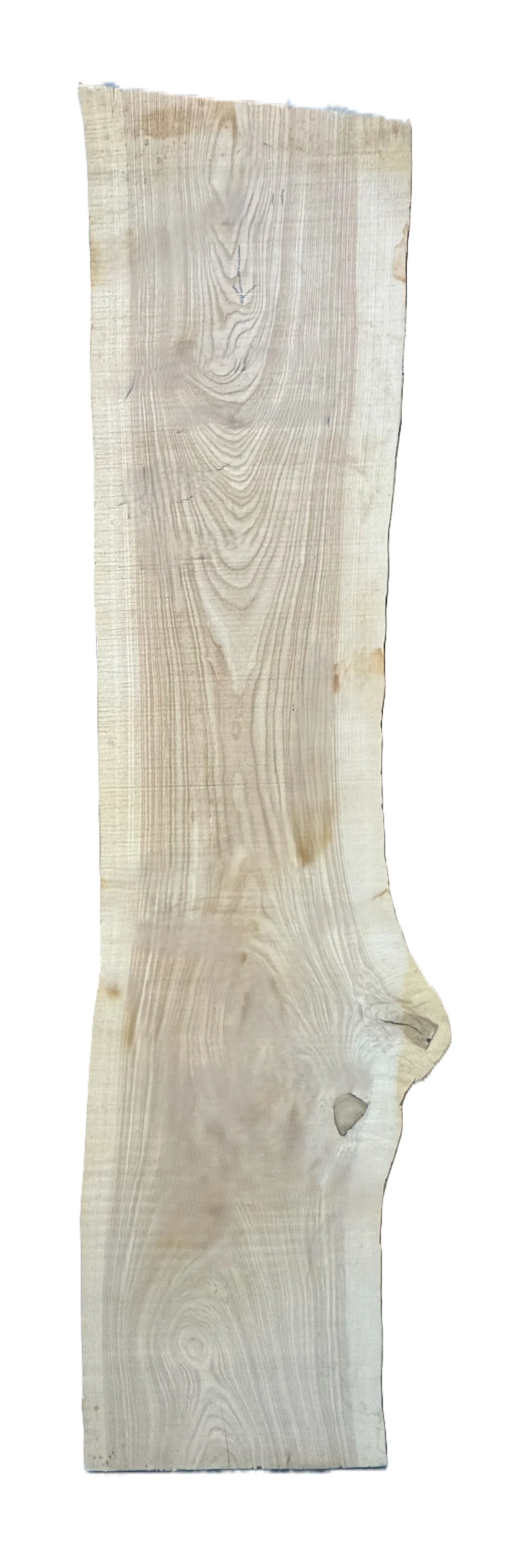 Siberian Elm Live Edge Slab