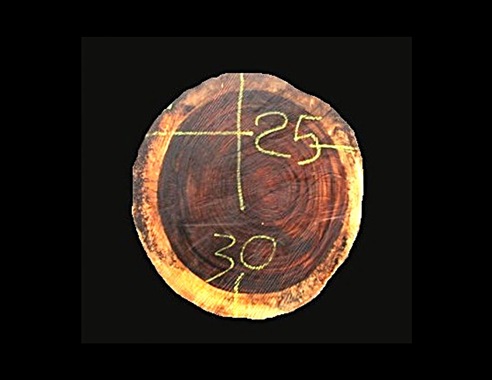 Parota Round Crosscut - H1440GNC - 30” L x 24” W x 2” T - 10 BF
