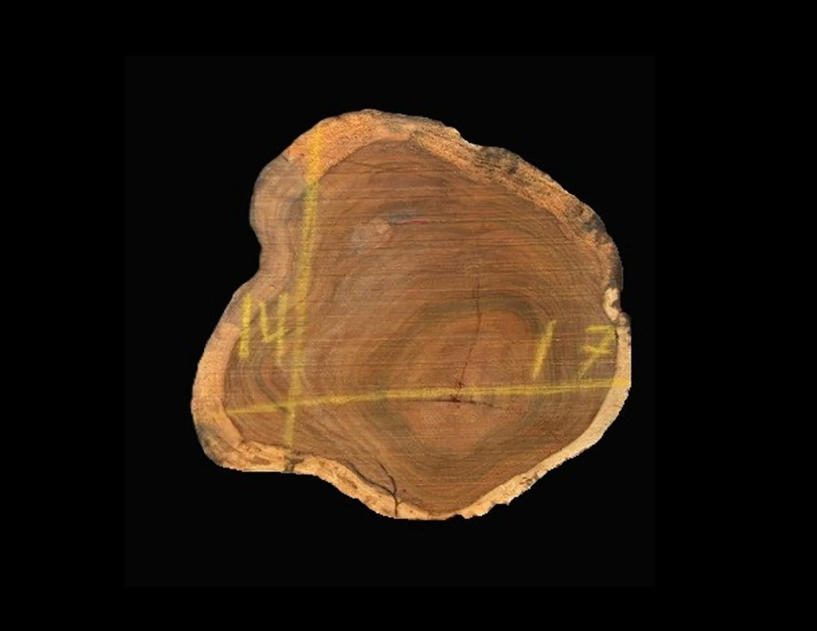 Teak Round Crosscut - H1330TEA - 17” L x 14” W x 2” T - 3 BF