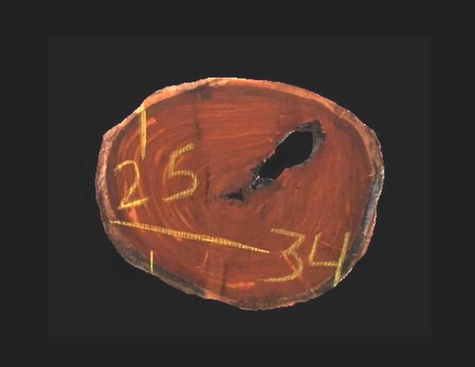 H1515GYQ.jpg