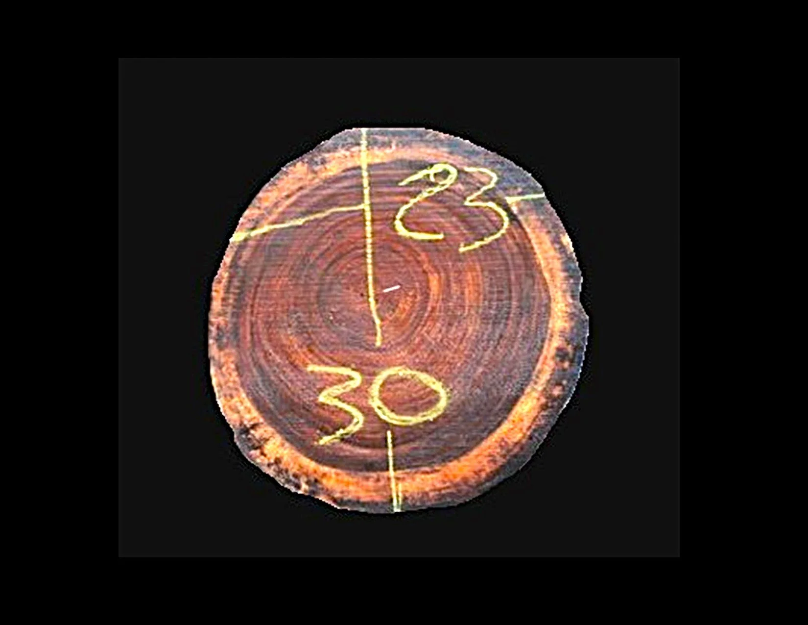 Parota Round Crosscut - H1442GNC - 30” L x 22” W x 2” T - 9 BF