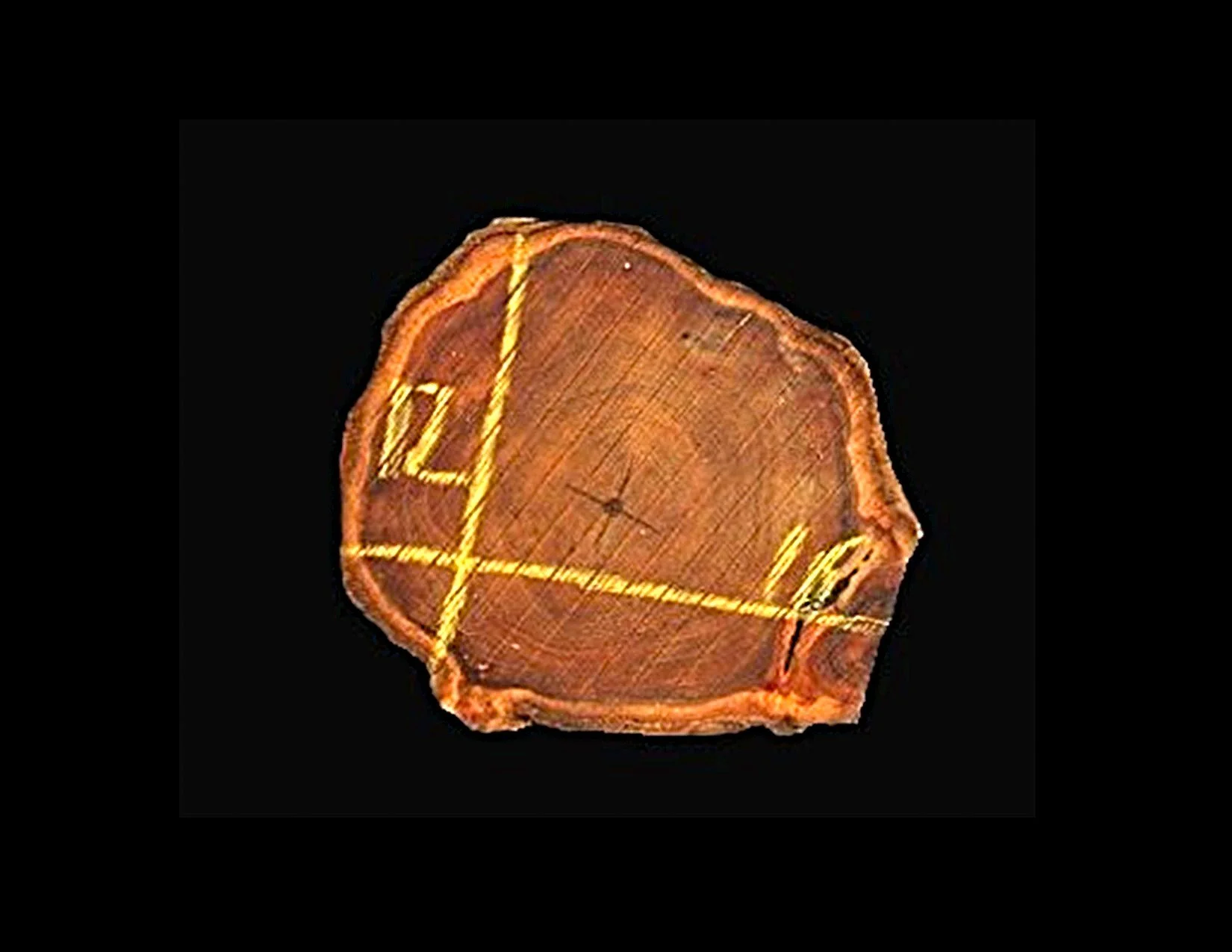 Teak Round Crosscut - H1089TEA - 18” L x 12” W x 2” T - 3 BF