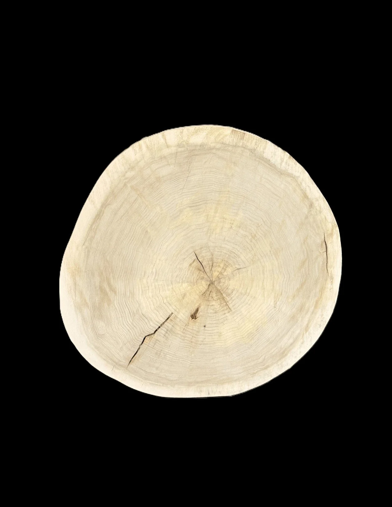 Cottonwood Round Sanded