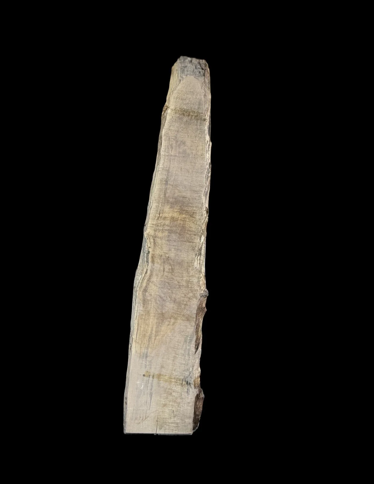 Maple Live Edge Slab