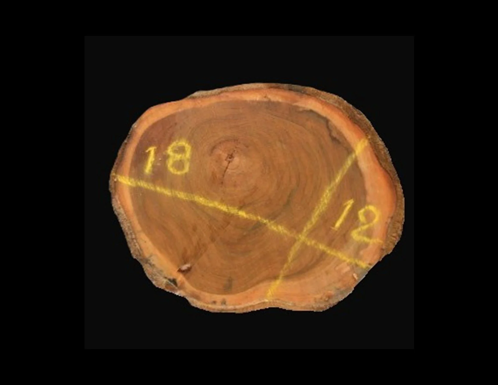 Teak Round Crosscut - H1366TEA - 18” L x 12” W x 2” T - 3 BF