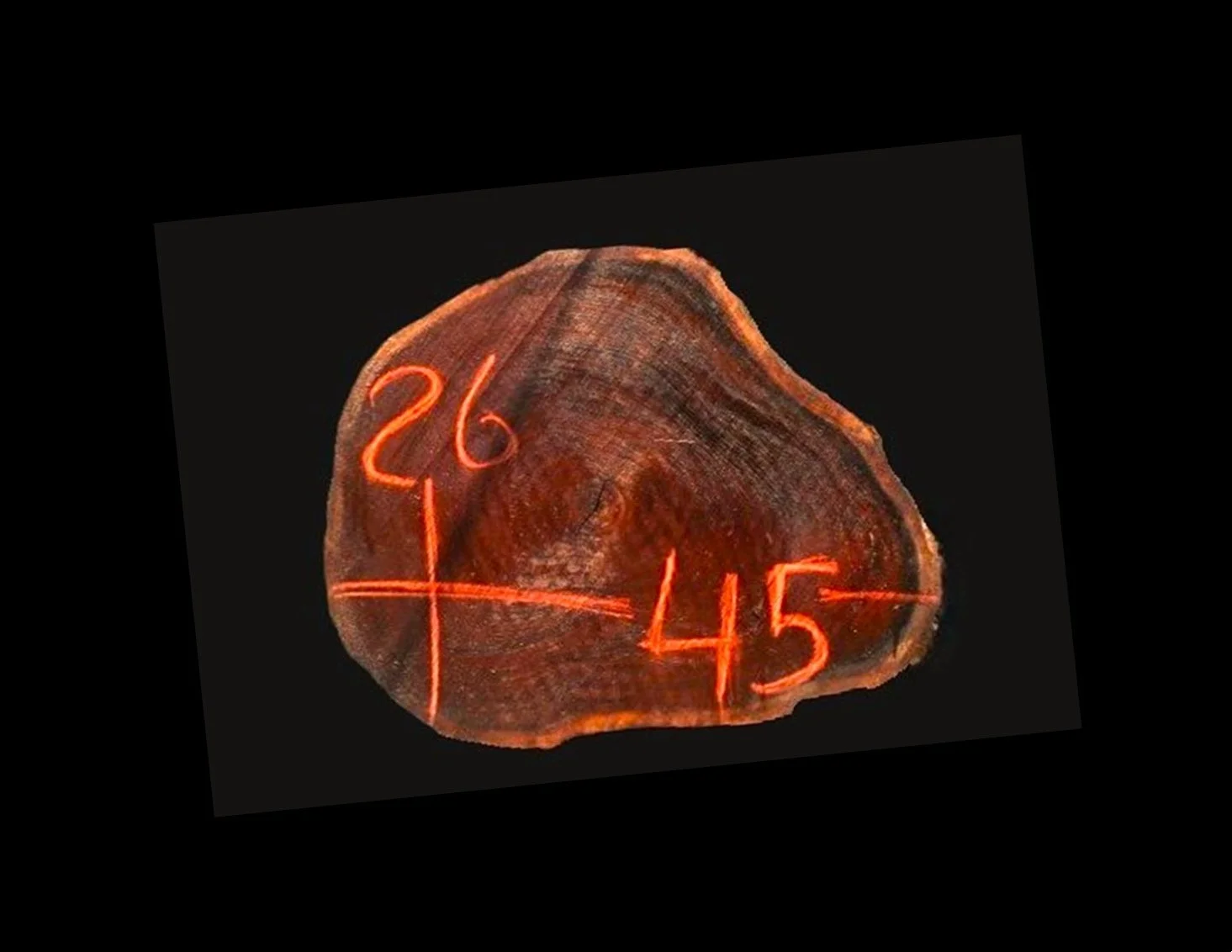 G1054GNC.jpg