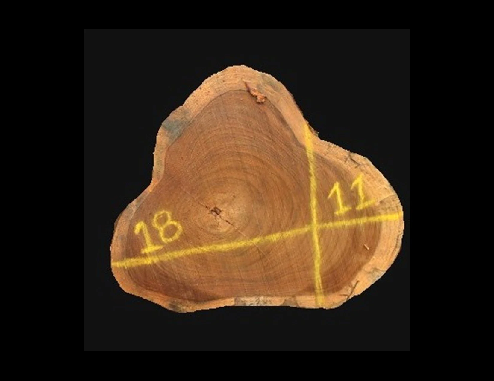 Teak Round Crosscut - H1364TEA - 18” L x 11” W x 2” T - 3 BF