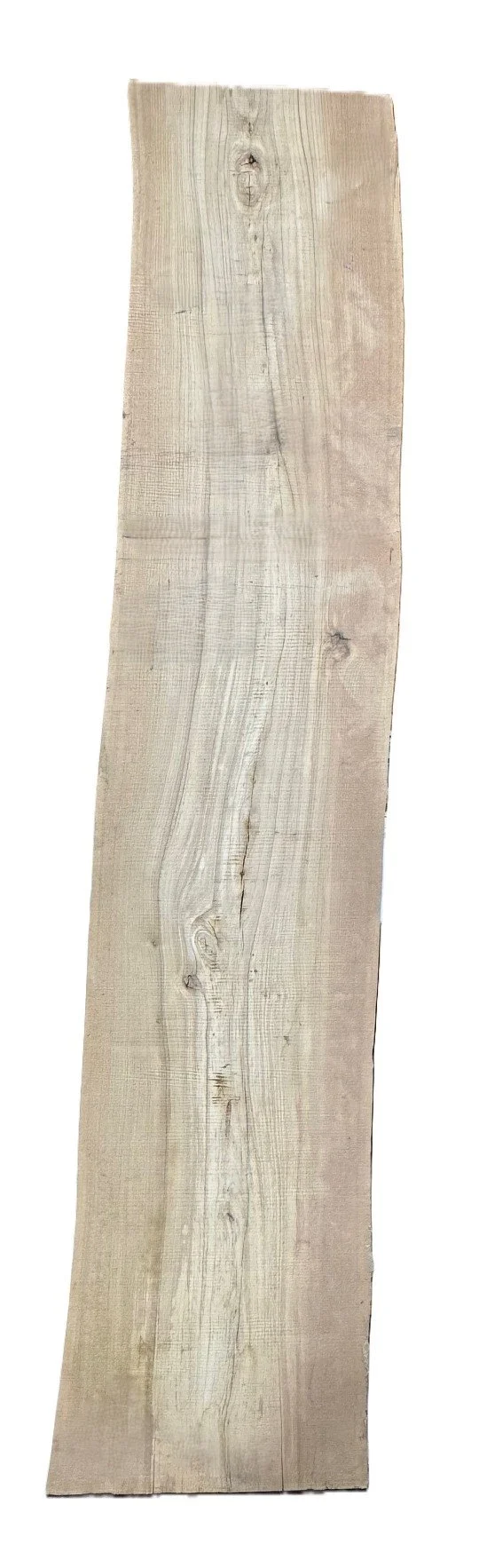 Siberian Elm Live Edge Slab