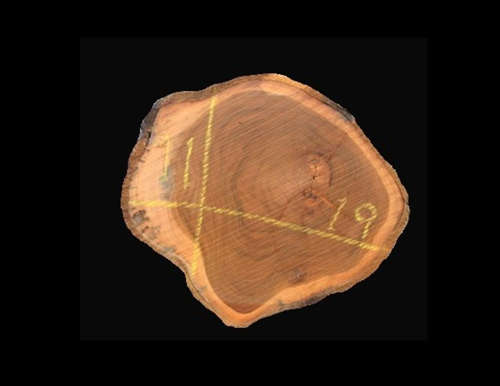 Teak Round Crosscut - H1291TEA - 19” L x 11” W x 2” T - 3 BF