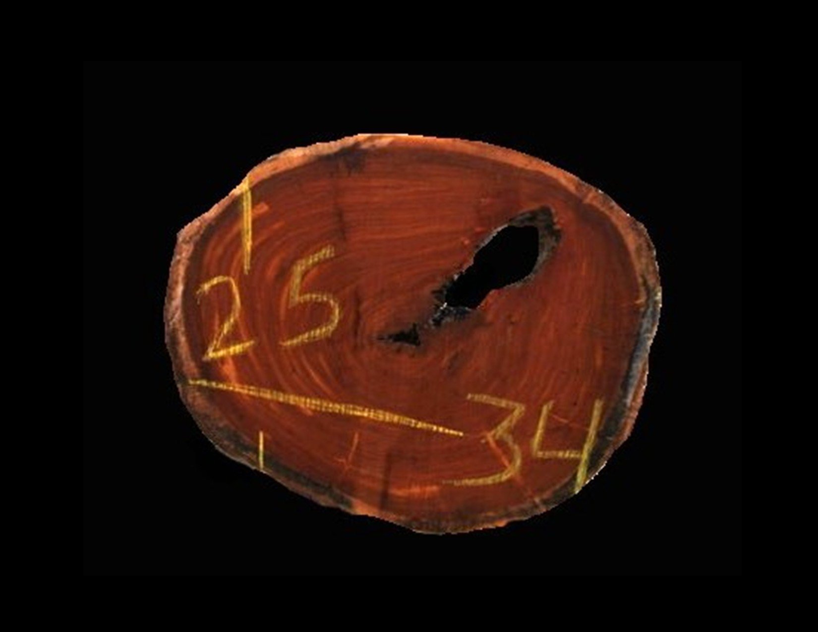 Guayaquil Round Crosscut - H1515GYQ - 34” L x 25” W x 2” T - 12 BF