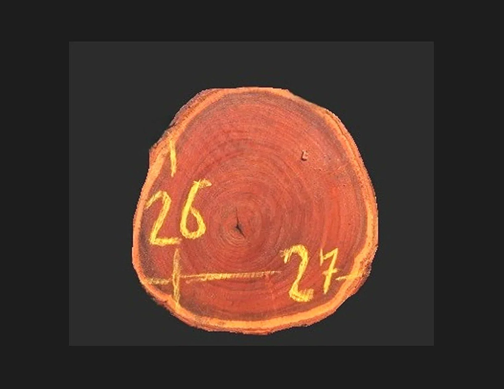 Guayaquil Round Crosscut - H1559GYQ - 27” L x 26” W x 2” T - 10 BF