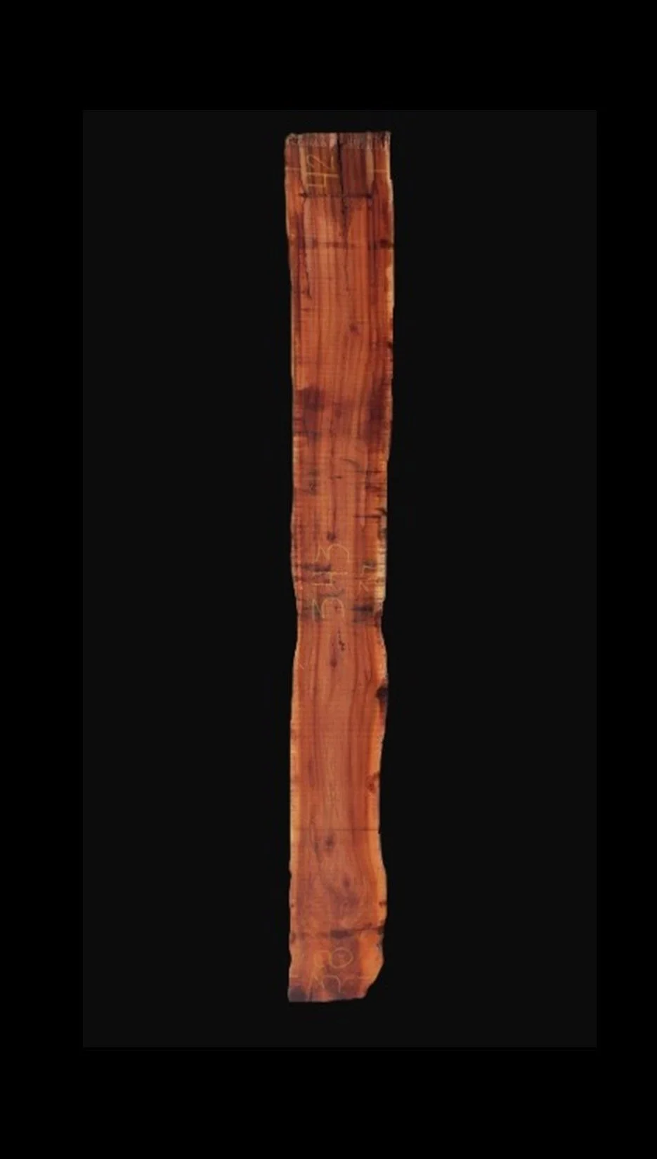 Parota Live Edge Slab - F1043GNC - 280” L x 42” W x 2” T - 163 BF