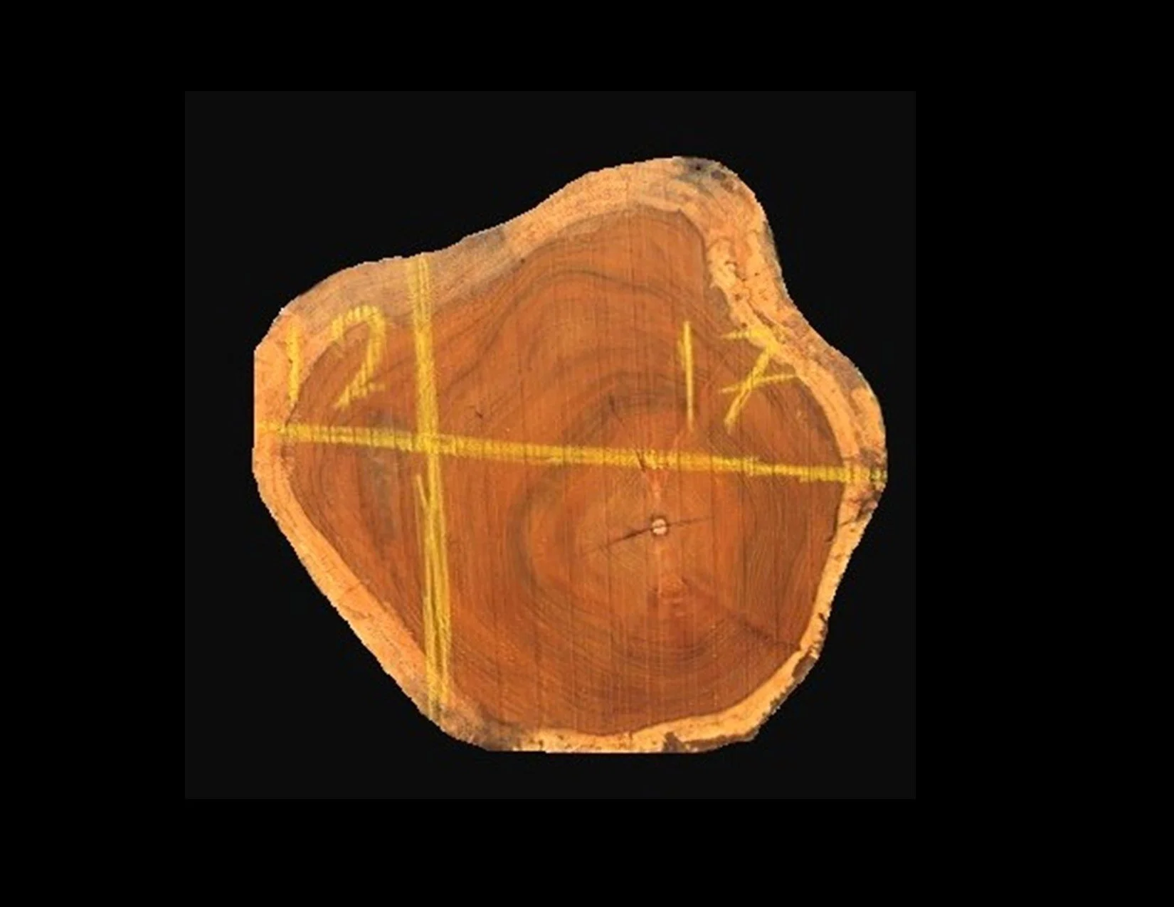 Teak Round Crosscut - H1303TEA - 17” L x 12” W x 2” T - 3 BF