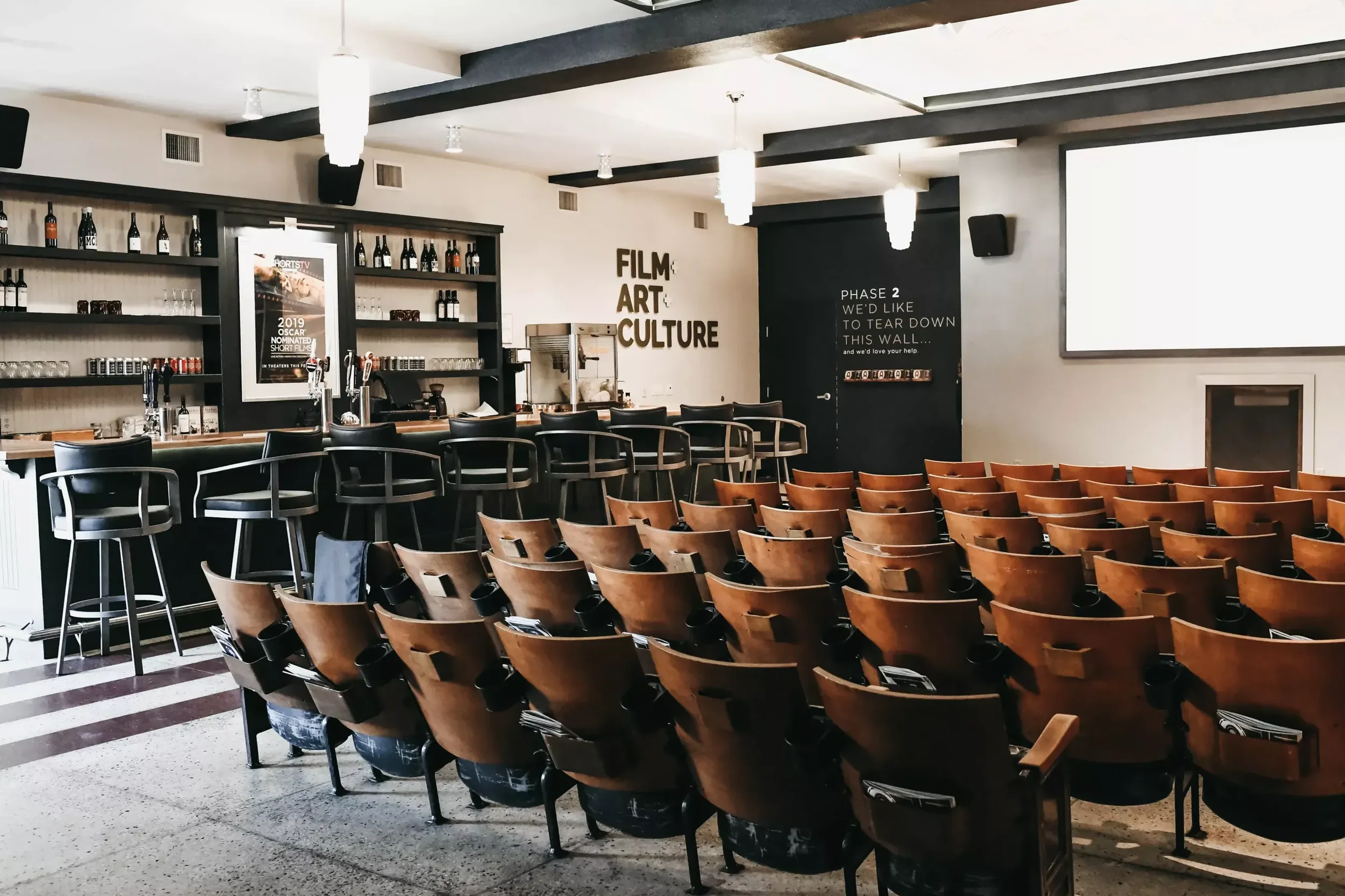Cinema: The History and Future