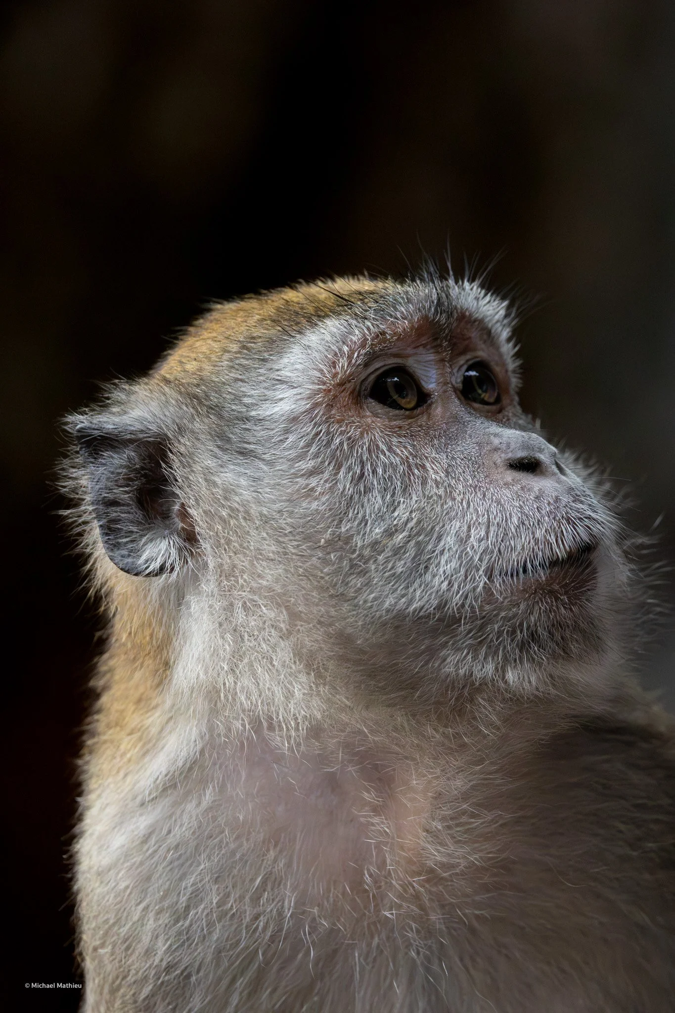 Wait, how did I get here?