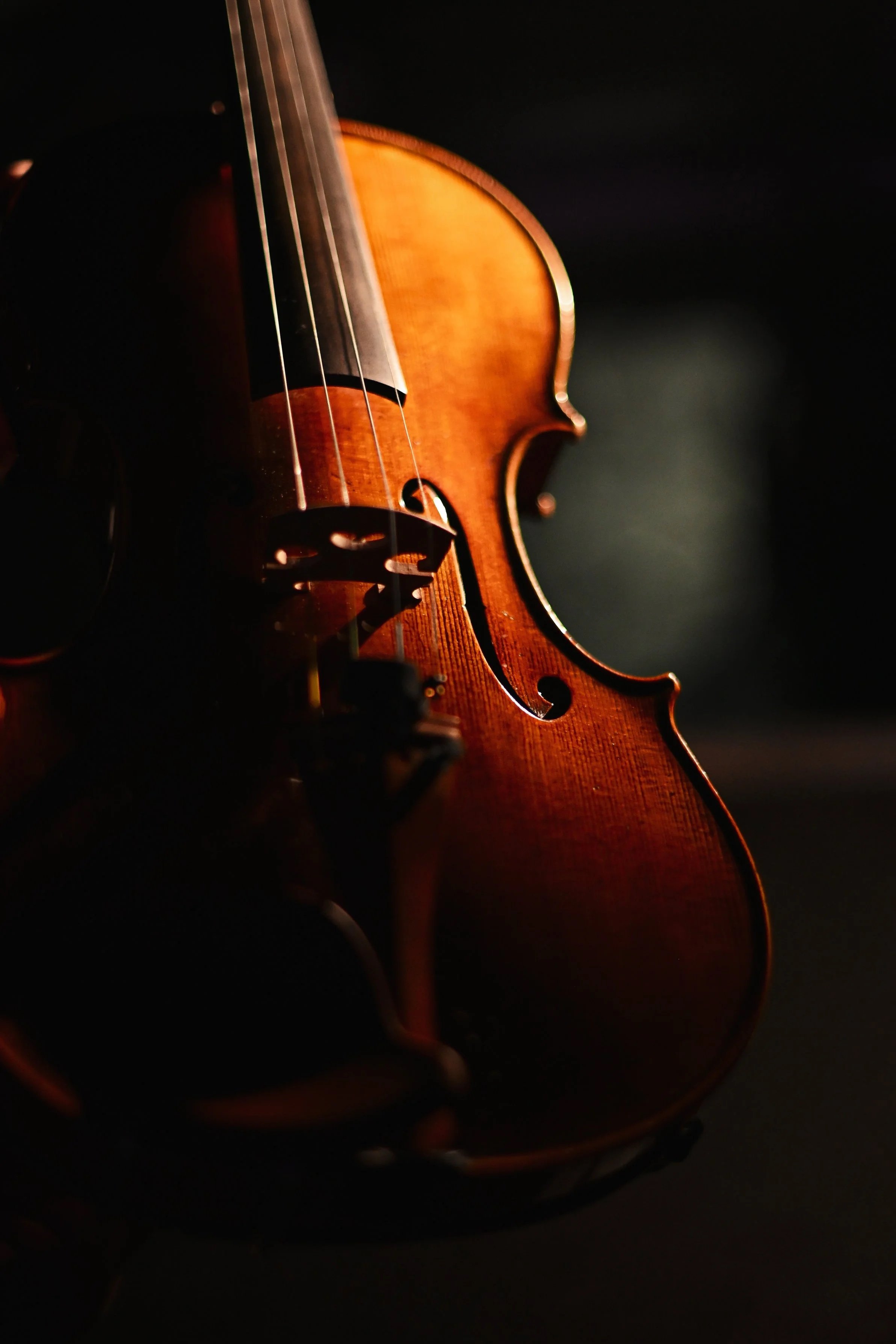 Gros plan d'un violon dans une lumière chaude et cinématographique