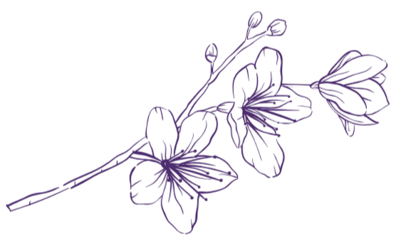 Purple orchids on a thin branch.