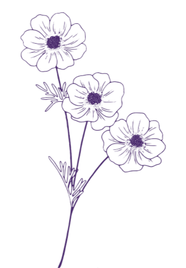 Outline drawing of three flowers with detailed petals, depicted in purple on a black background.