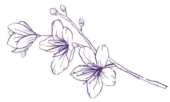 A line drawing of a flowering plant with multiple flowers and buds, outlined in purple.