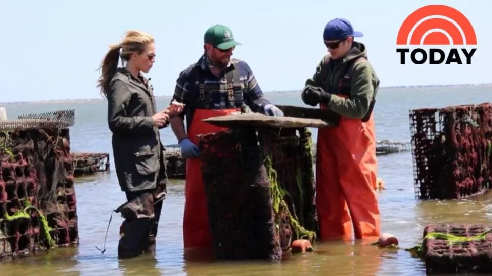A segment on the Today Show featuring Elly Truesdell, Whole Foods Market's Local Forager who is visiting an oyster farm that supplies product to a nearby retail location.