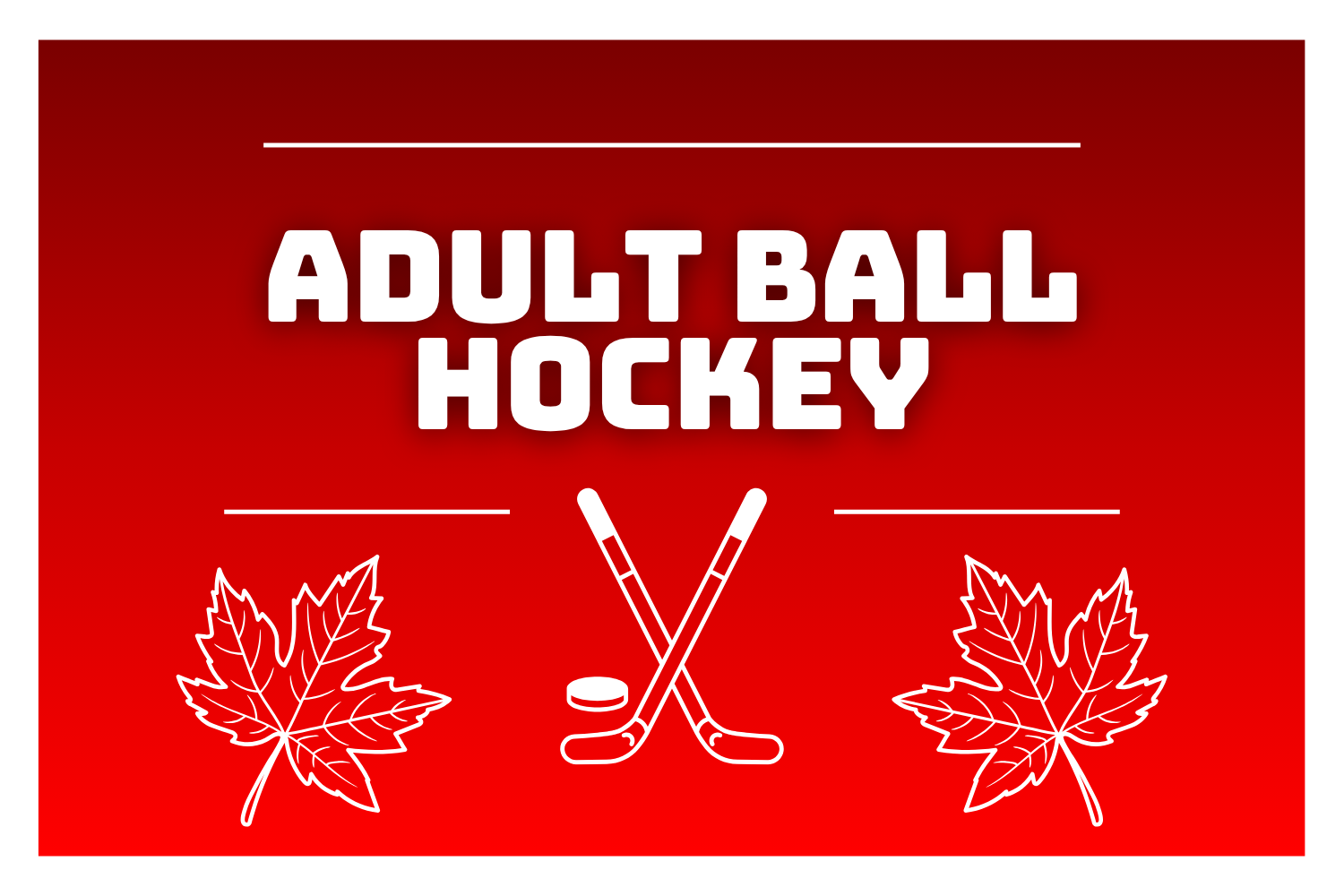Adult Ball Hockey 