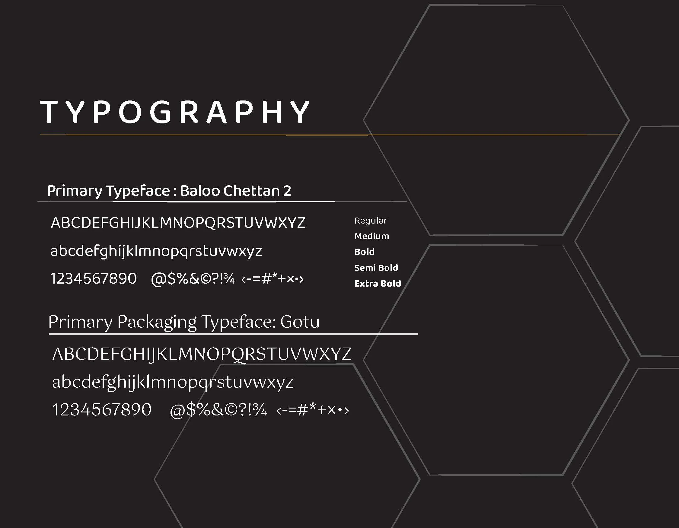 Ra Skincare Brand Guide copy_Page_5.jpg