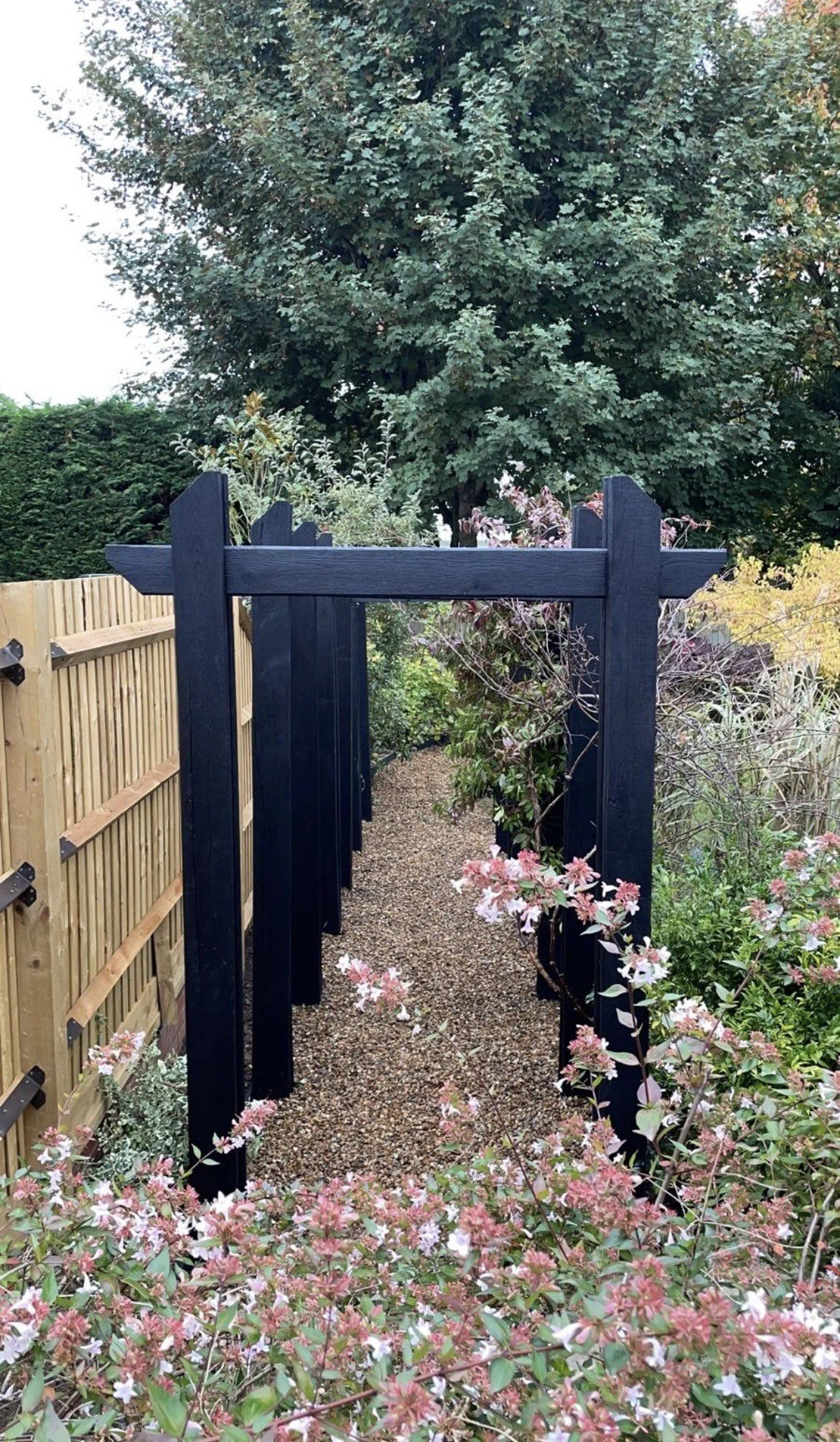 A garden pathway with a dark blue wooden archway, surrounded by pink and white flowers, and a large tree in the background.