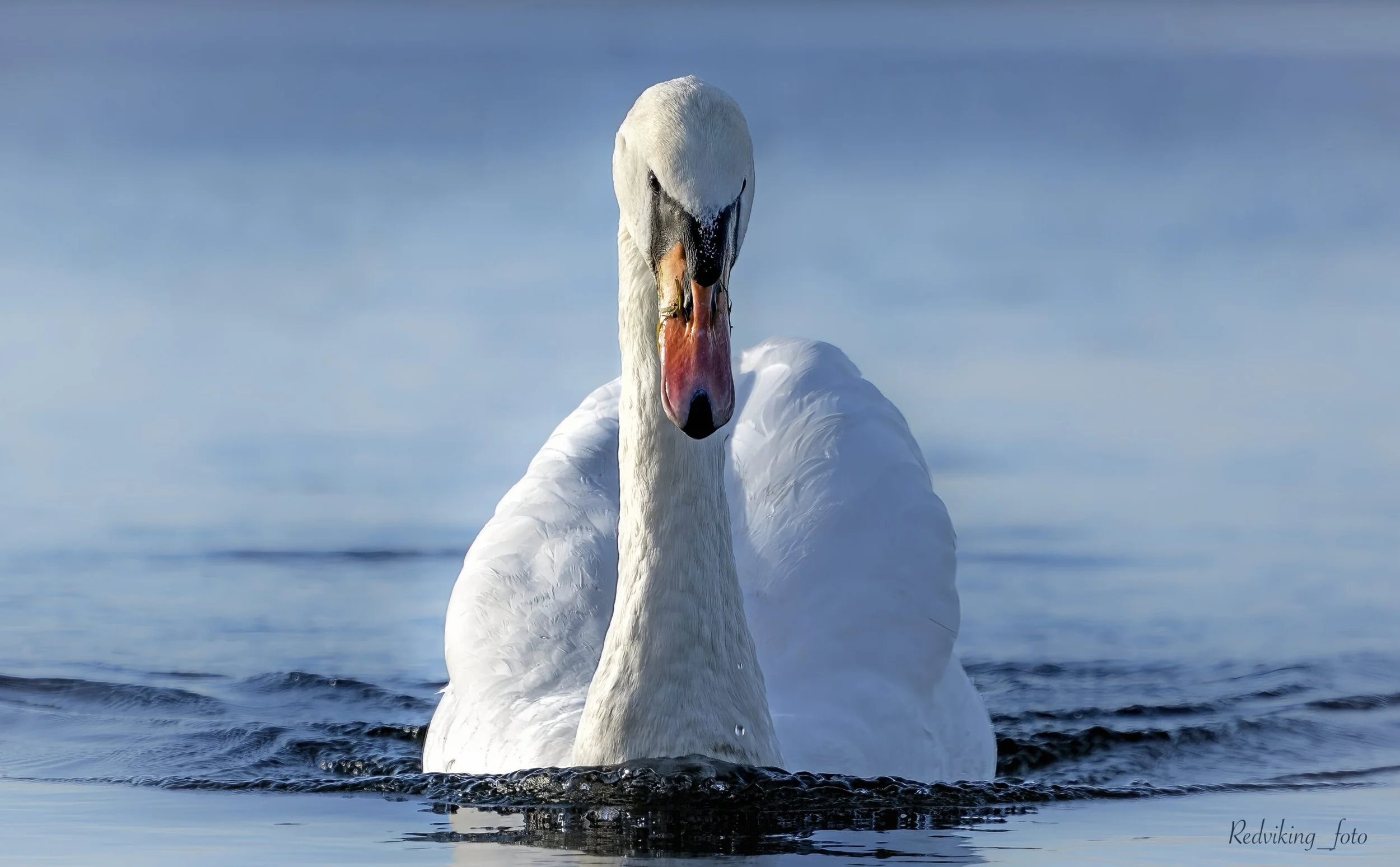 Foto: Eric Mathiesen