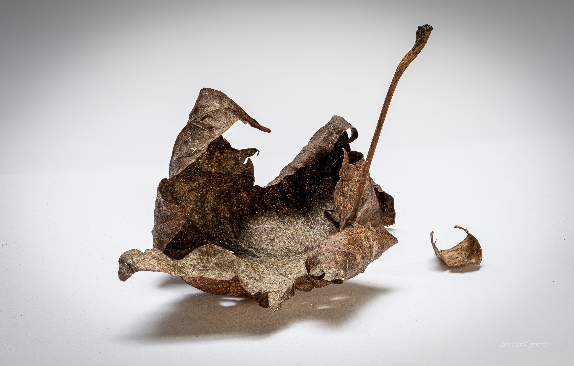 Foto: Tore Bratten