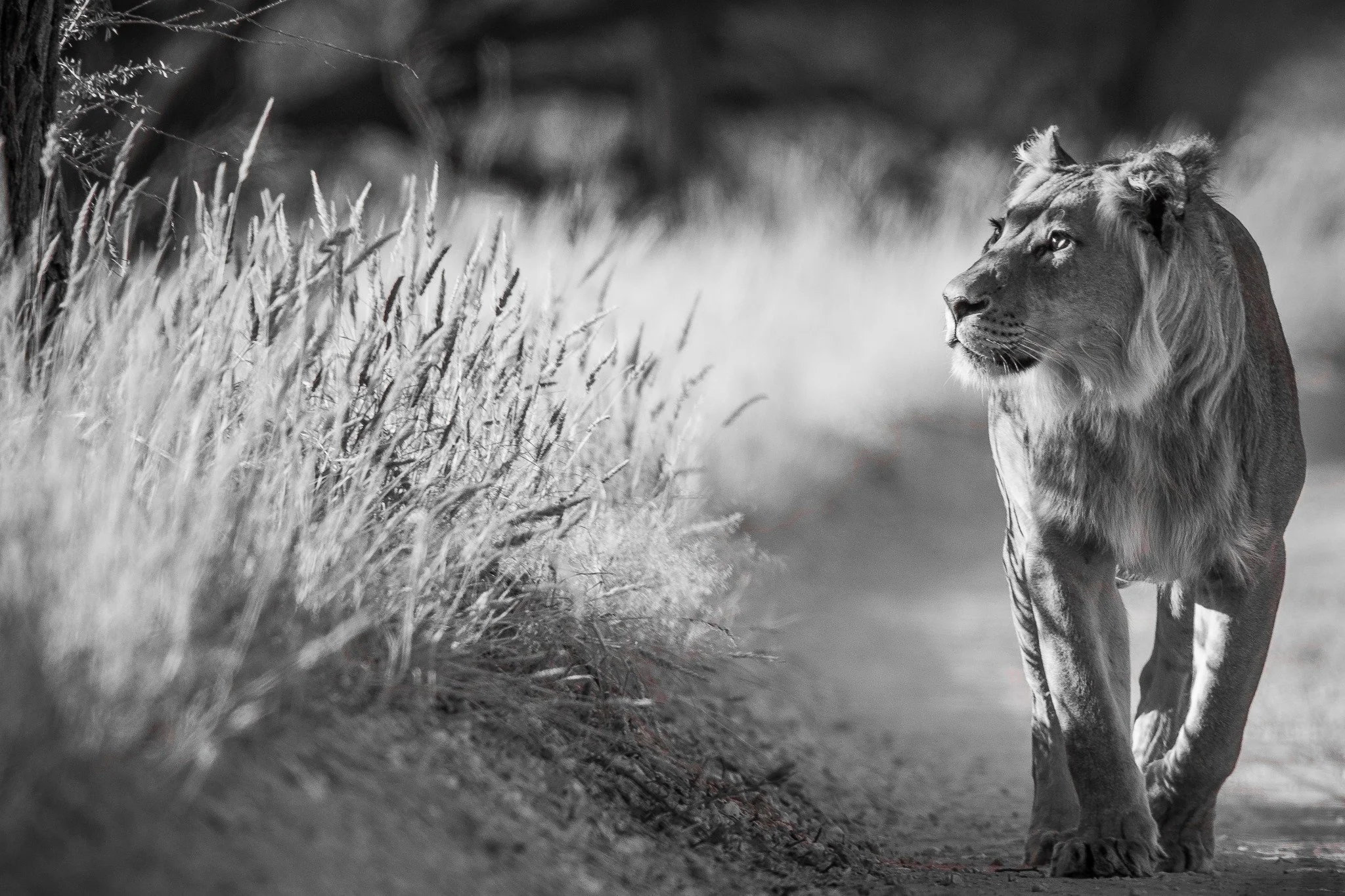 Foto: Geir Olaf Gjerden