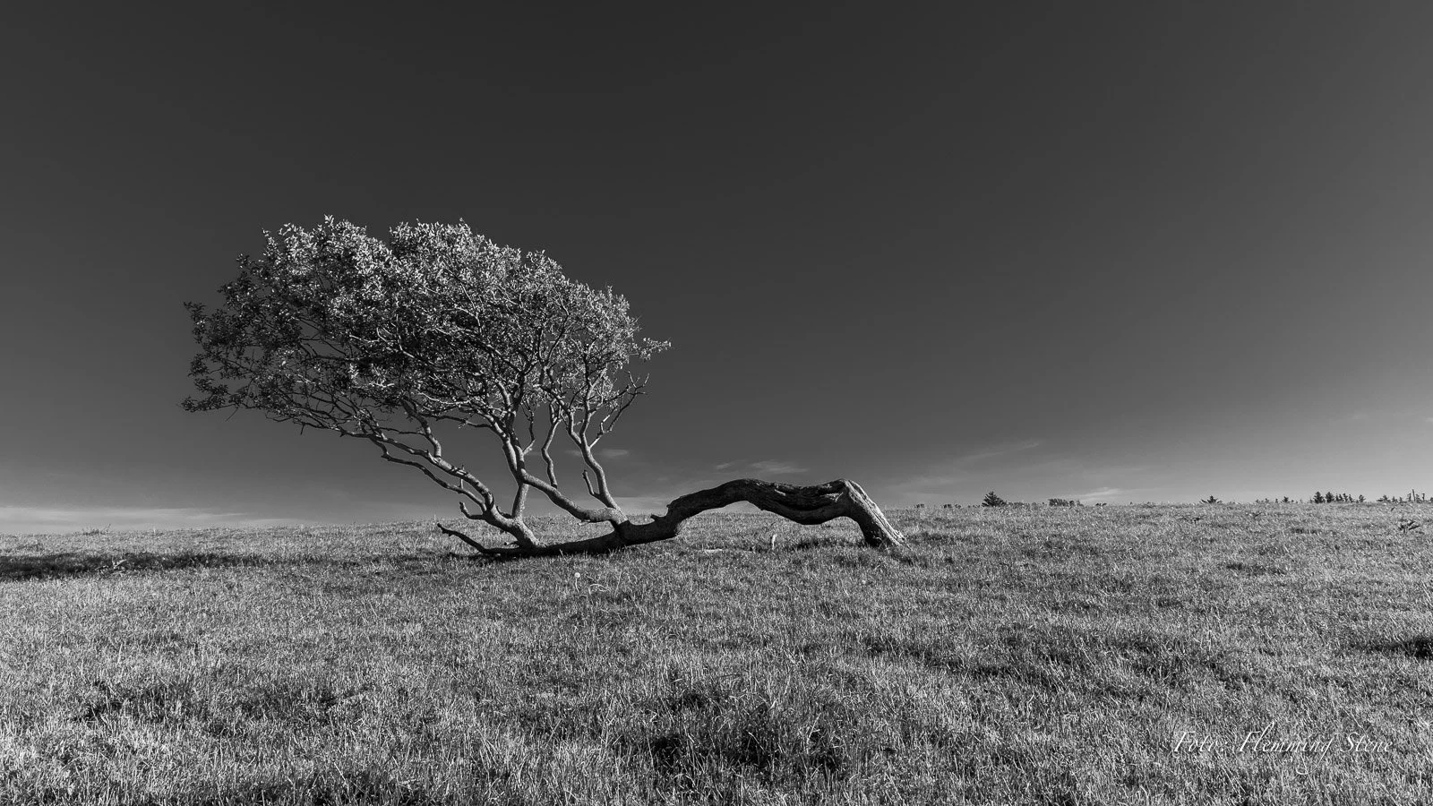 Fra Farsund, Foto: Flemming Stene