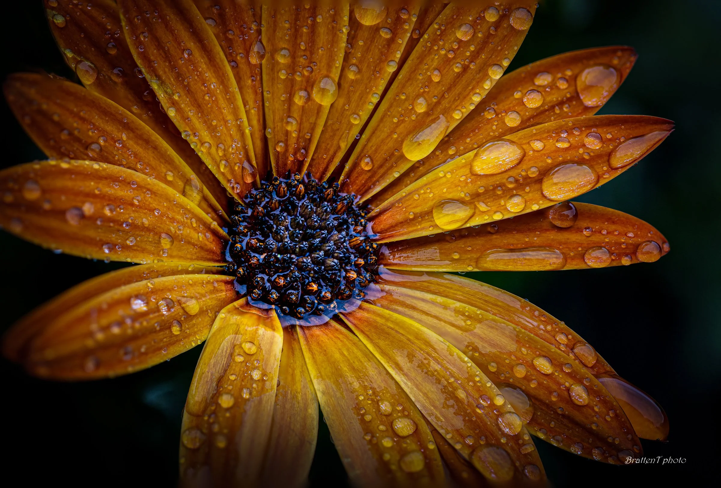 Foto: Tore Bratten