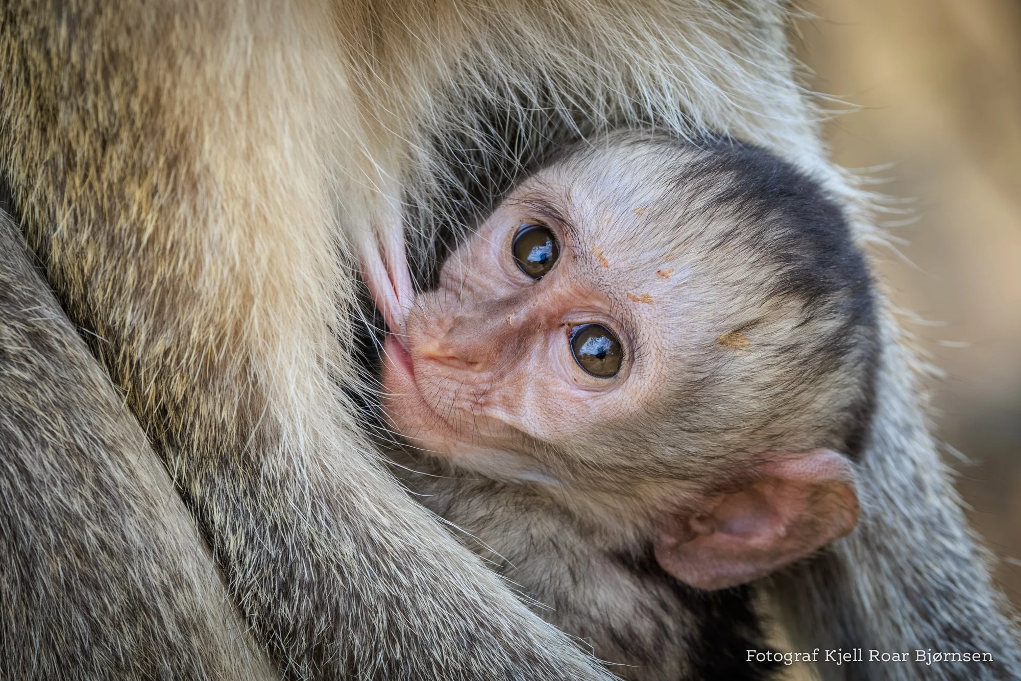 Fra Kjell Roar Bjørnsens tur til Afrika med IWANNAGO