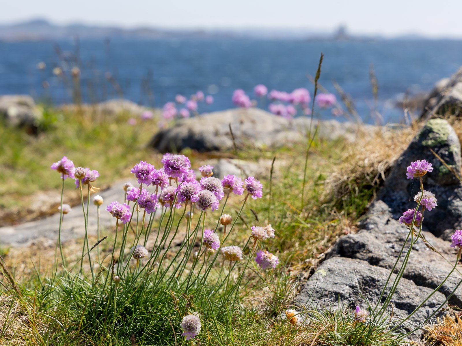 Fra Farsund, Foto: Flemming Stene