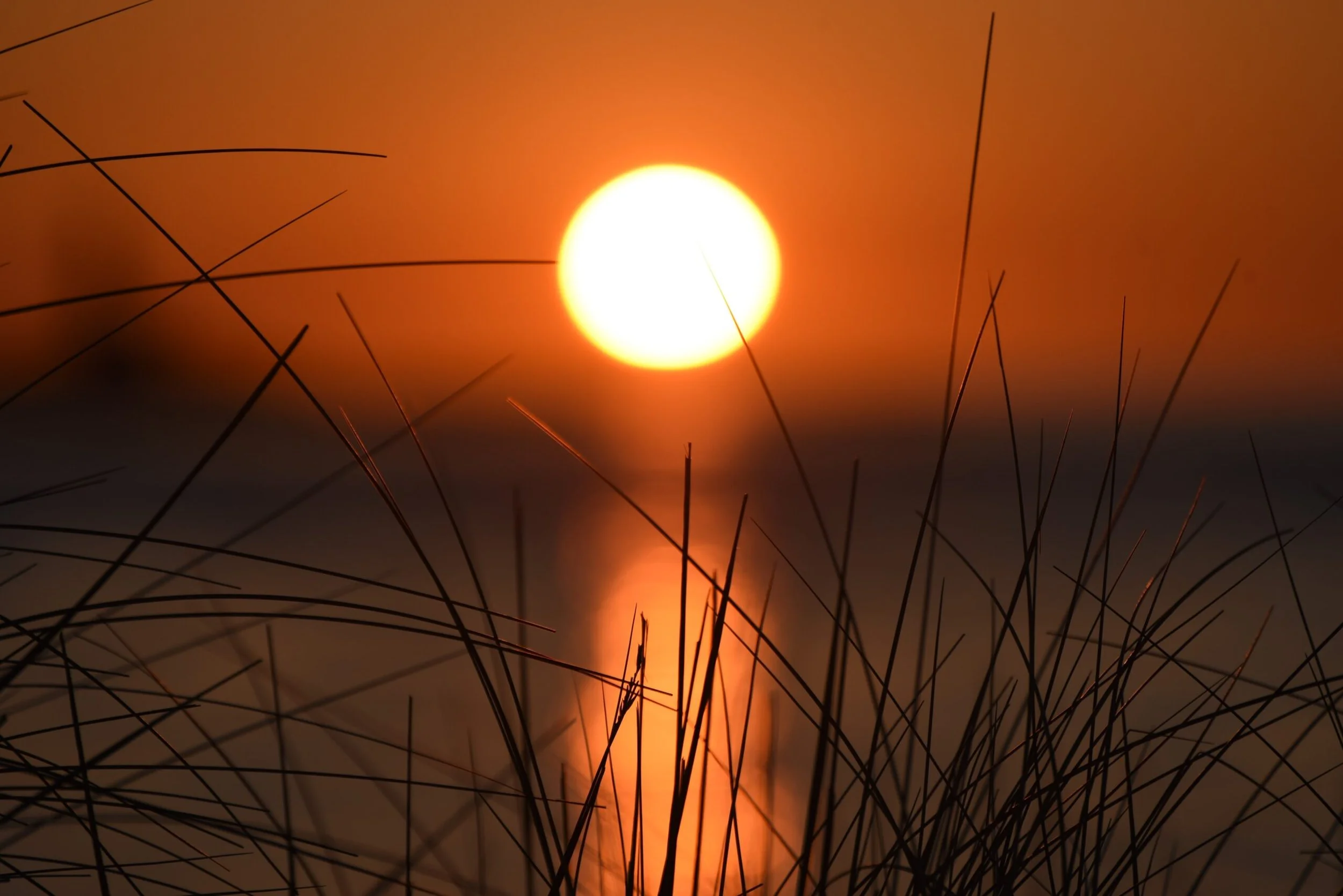 Foto: Jorunn Askeland